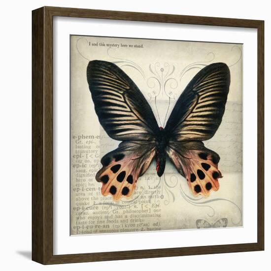 Butterflies Script IV-Amy Melious-Framed Art Print