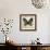 Butterflies Script IV-Amy Melious-Framed Art Print displayed on a wall