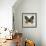 Butterflies Script IV-Amy Melious-Framed Art Print displayed on a wall