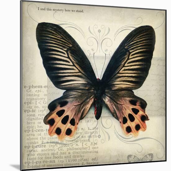 Butterflies Script IV-Amy Melious-Mounted Art Print