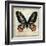 Butterflies Script IV-Amy Melious-Framed Art Print