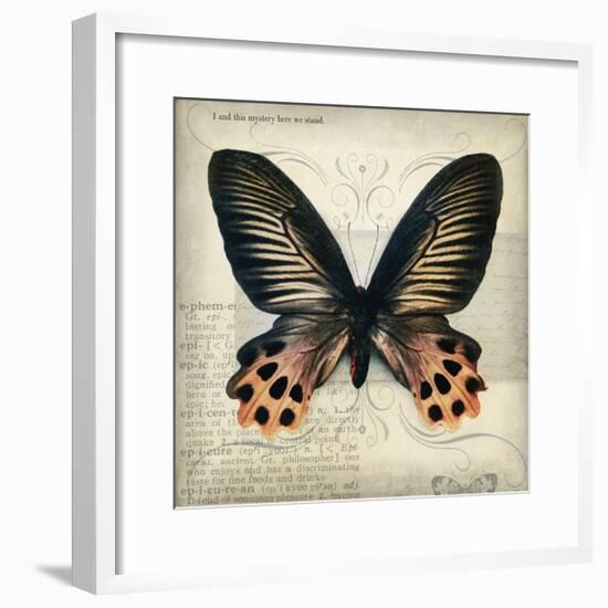 Butterflies Script IV-Amy Melious-Framed Art Print