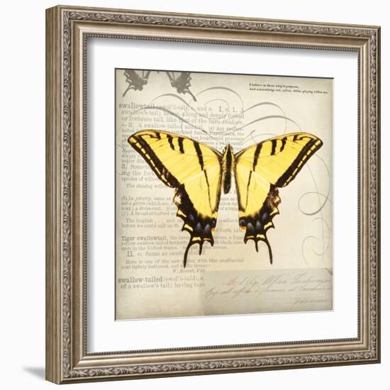 Butterflies Script V-Amy Melious-Framed Art Print