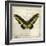 Butterflies Script VI-Amy Melious-Framed Art Print