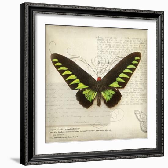 Butterflies Script VI-Amy Melious-Framed Art Print