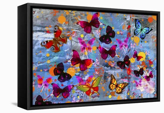 Butterflies Season-Ata Alishahi-Framed Premier Image Canvas