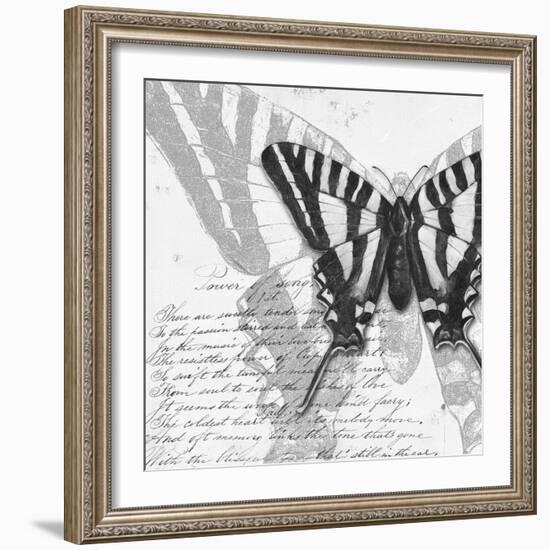 Butterflies Studies II-Patricia Pinto-Framed Art Print