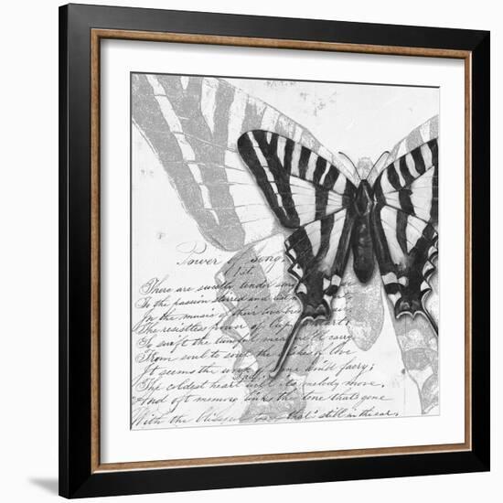 Butterflies Studies II-Patricia Pinto-Framed Art Print