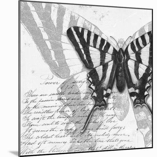Butterflies Studies II-Patricia Pinto-Mounted Art Print