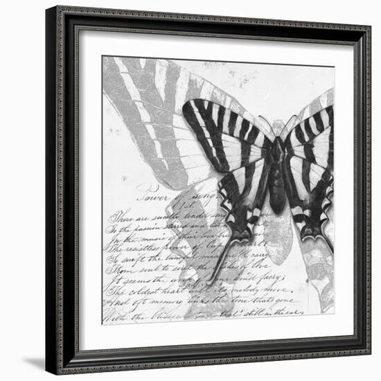 Butterflies Studies II-Patricia Pinto-Framed Art Print