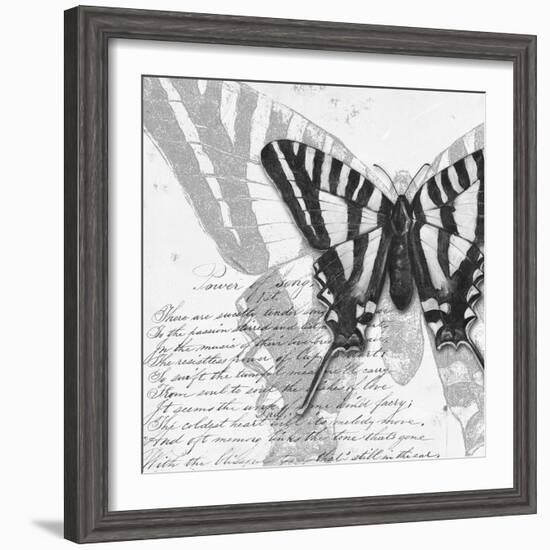 Butterflies Studies II-Patricia Pinto-Framed Premium Giclee Print