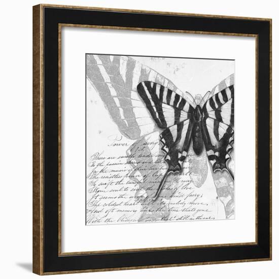 Butterflies Studies II-Patricia Pinto-Framed Premium Giclee Print