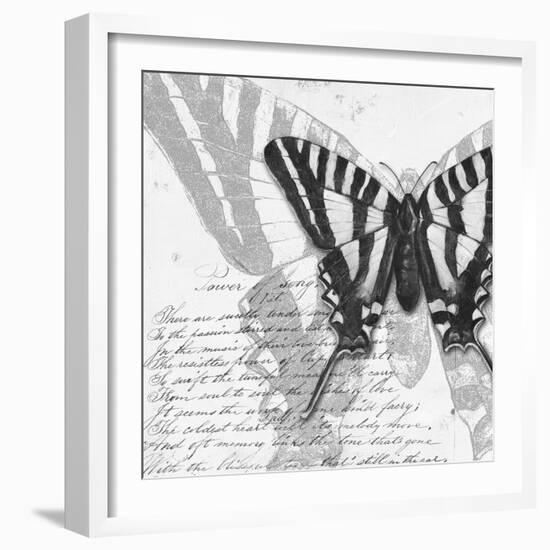 Butterflies Studies II-Patricia Pinto-Framed Premium Giclee Print