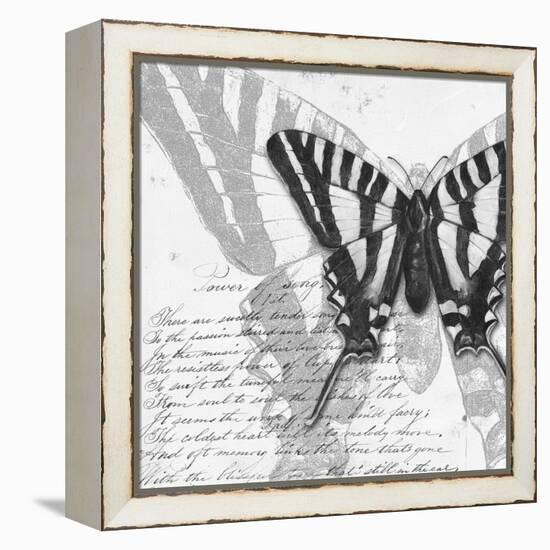 Butterflies Studies II-Patricia Pinto-Framed Stretched Canvas