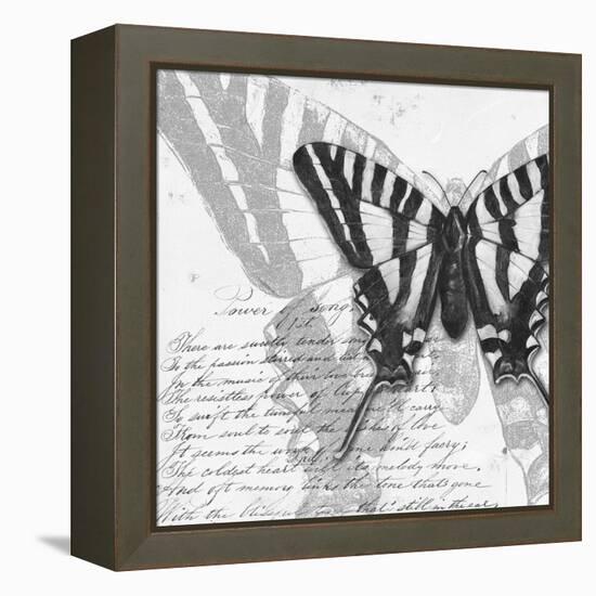 Butterflies Studies II-Patricia Pinto-Framed Stretched Canvas