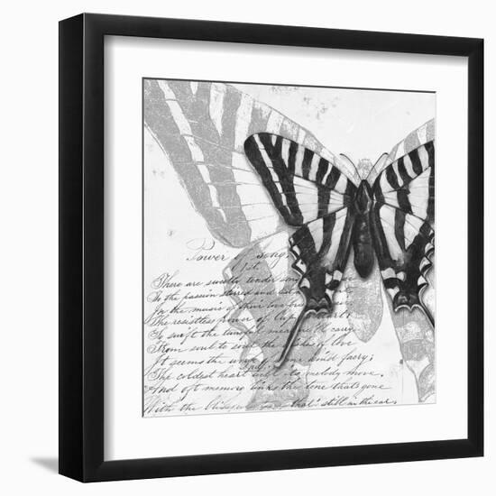 Butterflies Studies II-Patricia Pinto-Framed Art Print