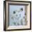 Butterflies-Caroline Gold-Framed Giclee Print