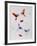 Butterflies-Pater Sato-Framed Limited Edition