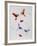 Butterflies-Pater Sato-Framed Limited Edition