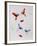 Butterflies-Pater Sato-Framed Limited Edition