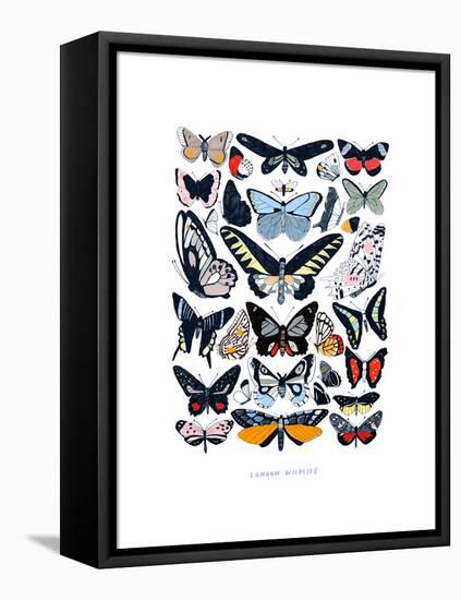 Butterflies-Hanna Melin-Framed Premier Image Canvas