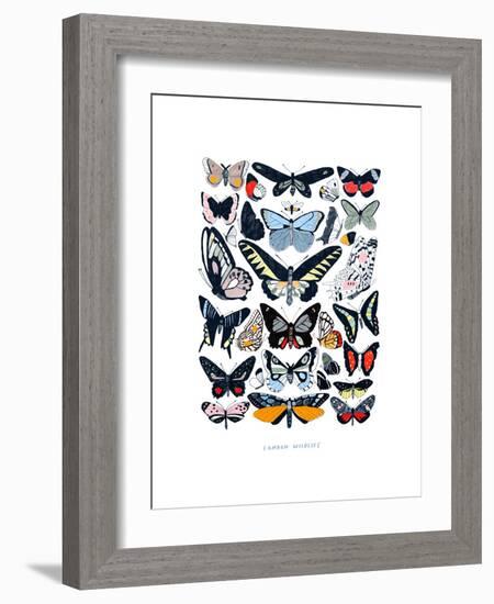 Butterflies-Hanna Melin-Framed Giclee Print