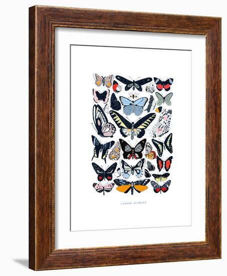 Butterflies-Hanna Melin-Framed Giclee Print