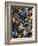 Butterflies-Darrell Gulin-Framed Photographic Print