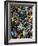 Butterflies-Darrell Gulin-Framed Photographic Print