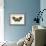 Butterflies-English School-Framed Giclee Print displayed on a wall