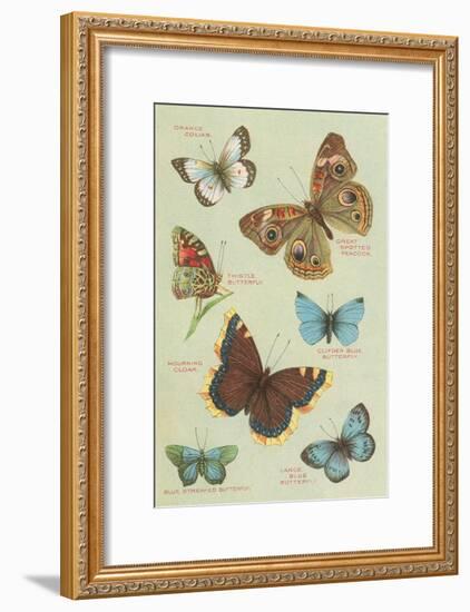 Butterflies-null-Framed Art Print