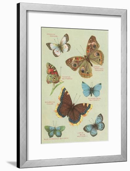 Butterflies-null-Framed Art Print