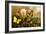 Butterflies-F.W. Kuhnert-Framed Art Print