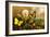 Butterflies-F.W. Kuhnert-Framed Art Print