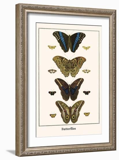 Butterflies-Albertus Seba-Framed Art Print