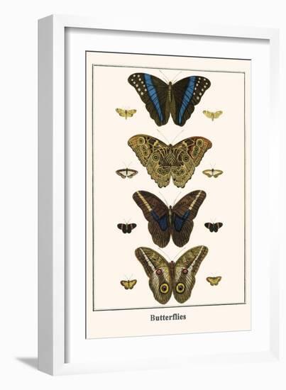 Butterflies-Albertus Seba-Framed Art Print