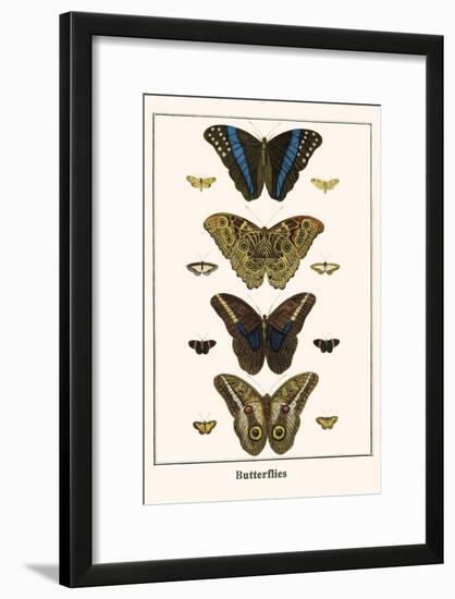 Butterflies-Albertus Seba-Framed Art Print