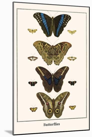 Butterflies-Albertus Seba-Mounted Art Print