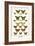 Butterflies-Albertus Seba-Framed Art Print