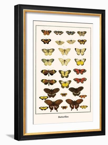 Butterflies-Albertus Seba-Framed Art Print