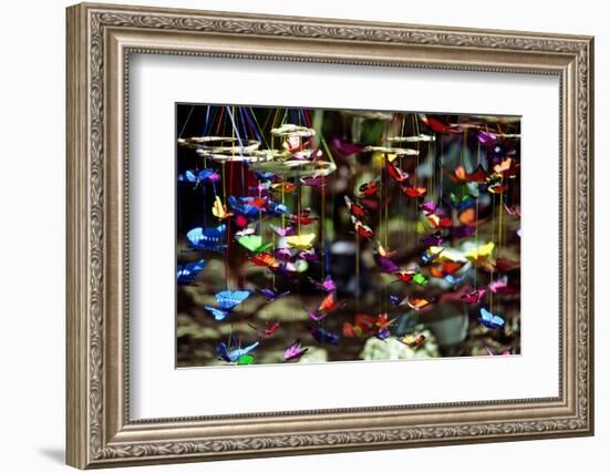 Butterflies-George Oze-Framed Photographic Print