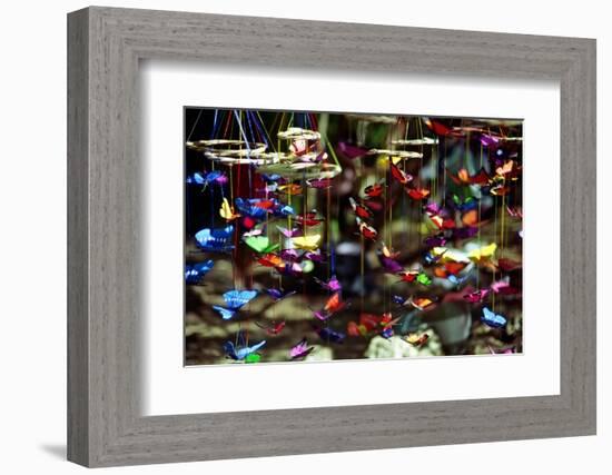 Butterflies-George Oze-Framed Photographic Print