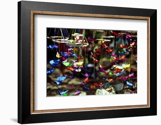 Butterflies-George Oze-Framed Photographic Print