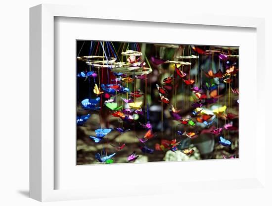 Butterflies-George Oze-Framed Photographic Print