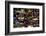 Butterflies-George Oze-Framed Photographic Print