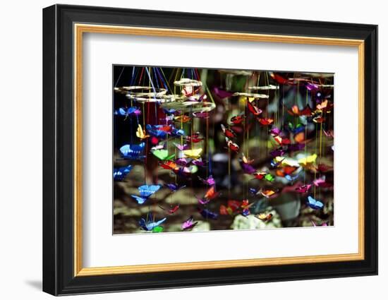 Butterflies-George Oze-Framed Photographic Print