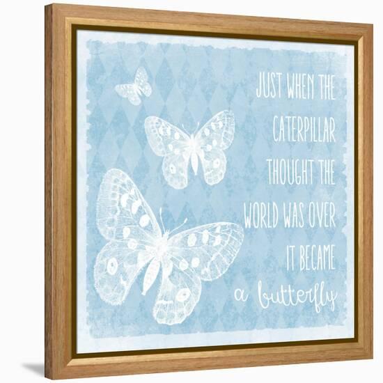 Butterflies-Erin Clark-Framed Premier Image Canvas