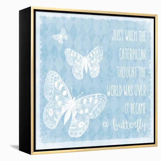 Butterflies-Erin Clark-Framed Premier Image Canvas