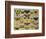 Butterflies-null-Framed Giclee Print