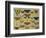 Butterflies-null-Framed Giclee Print